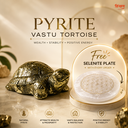 Vastu Pyrite Tortoise with Free Raw Selenite Plate