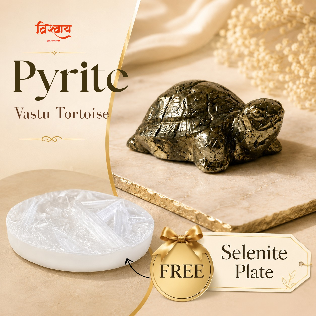 Vastu Pyrite Tortoise with Free Raw Selenite Plate