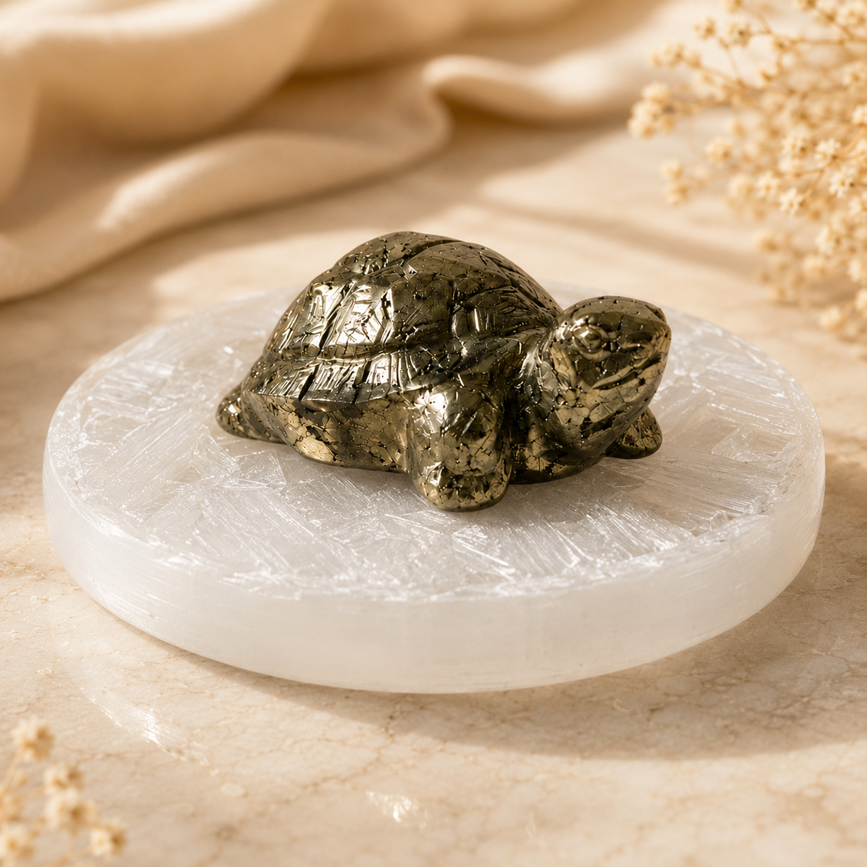 Vastu Pyrite Tortoise with Free Raw Selenite Plate