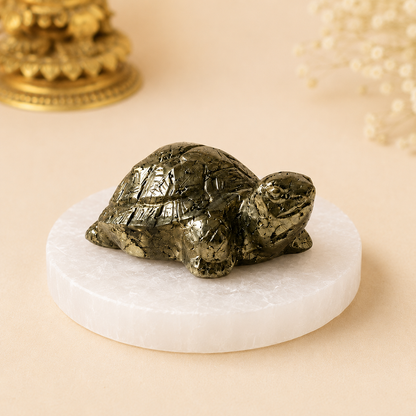 Vastu Pyrite Tortoise with Free Raw Selenite Plate