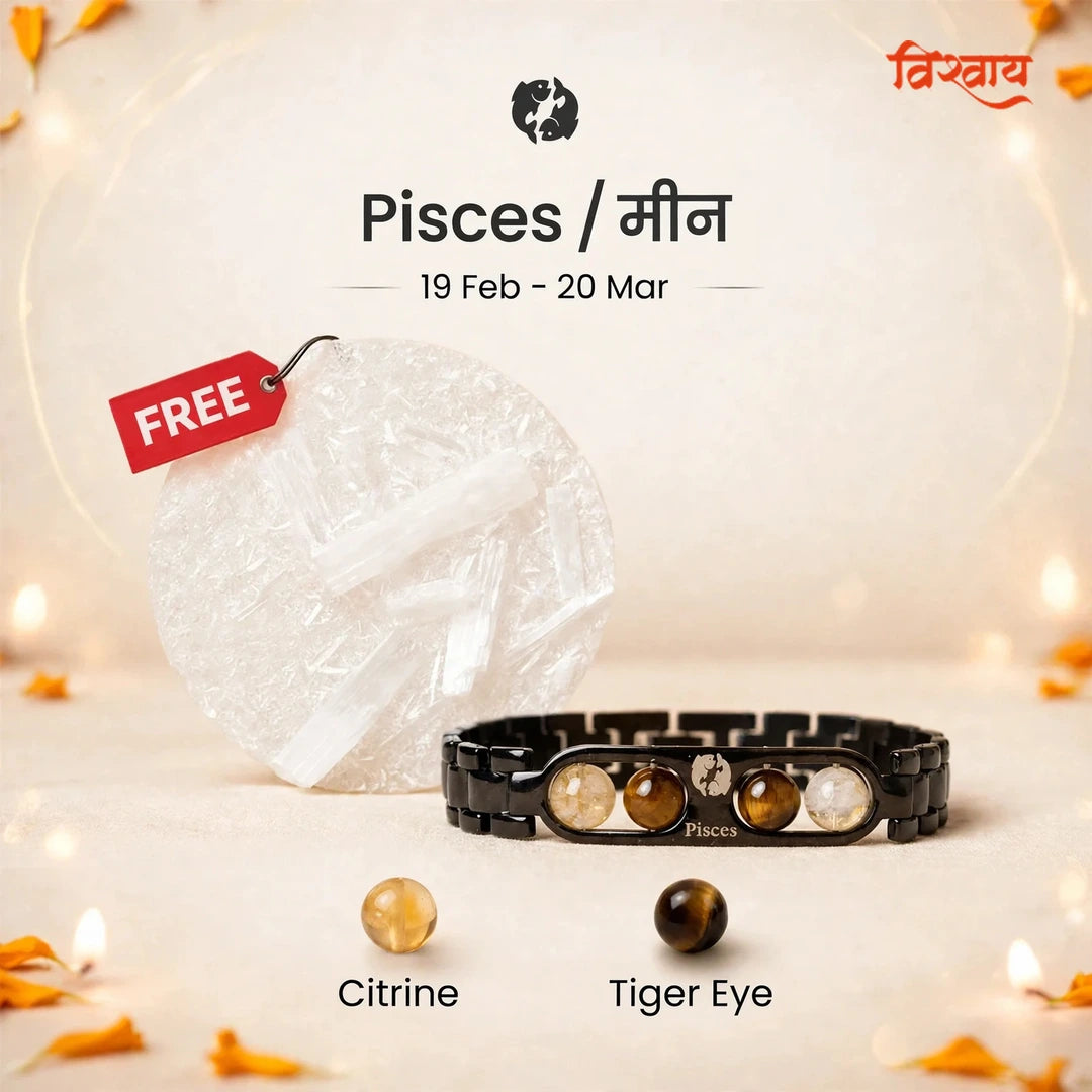 Pisces Zodiac Metal Bracelet with Free Raw Selenite Plate